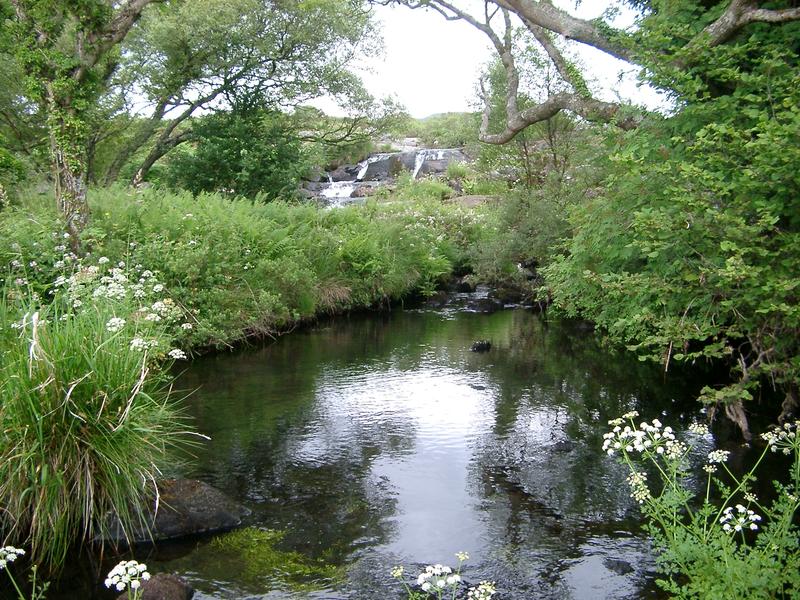 peacefull scene, a still pond in a mountan stream the welsh hills, uk