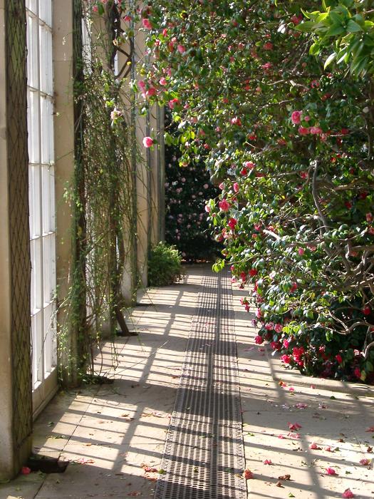 plants growing in the sun in a large glass conservatory or glass house