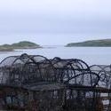 50   crab pots