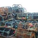 51   crab pots