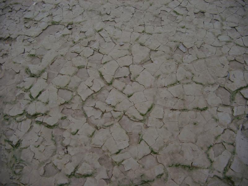 patterns of cracked estuary mud