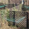 396-fence_maze_2437.JPG