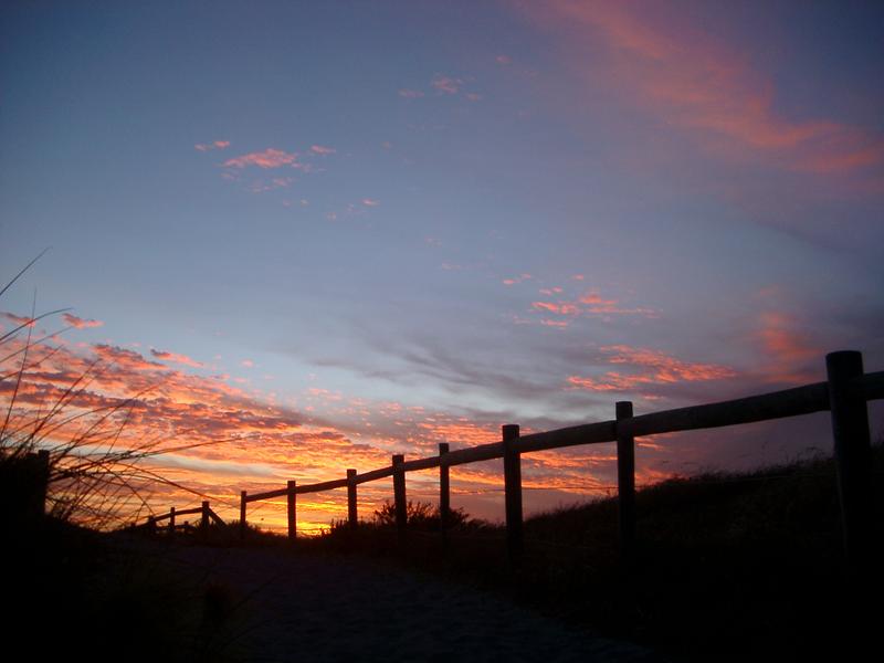 fence sunset silhouette, sand dunes near perth, WA.