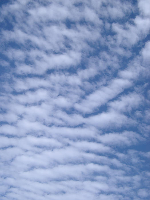 a bright fluffy clouded blue sky