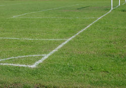 436-football_pitch_1130.jpg