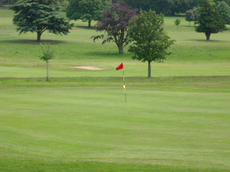 a green and marker flag on a british gold course