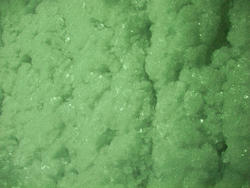 155-green_frost_5712.jpg