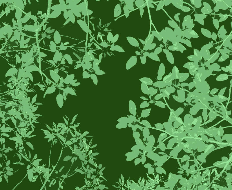 482-green_leaves28cutout.jpg