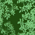 482-green_leaves28cutout.jpg