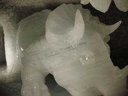 138-ice_caves_5713.jpg