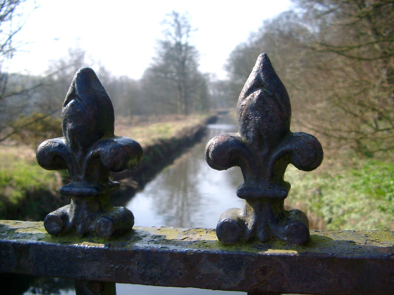 cast iron railings on a bridge with fleur-de-lis ornamentation
