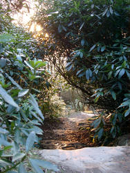 60-lever_park_2393.jpg