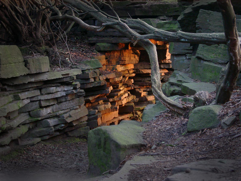 scenes from a walk through lever park, near bolton, uk