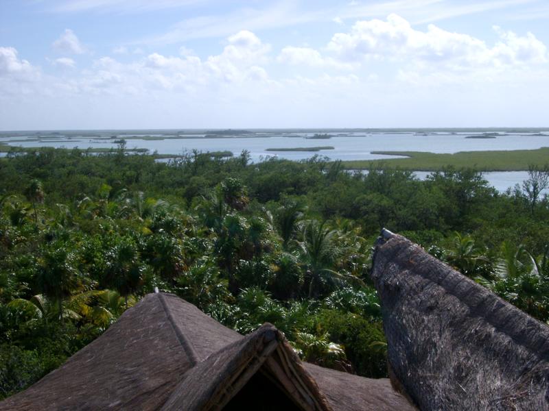 view from a look out tower in a national park wildlife reserve