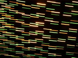 425-motion_stripes1504.JPG