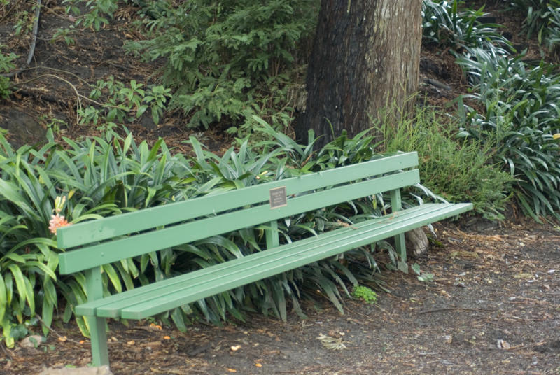 a green park bench in a san francisco park