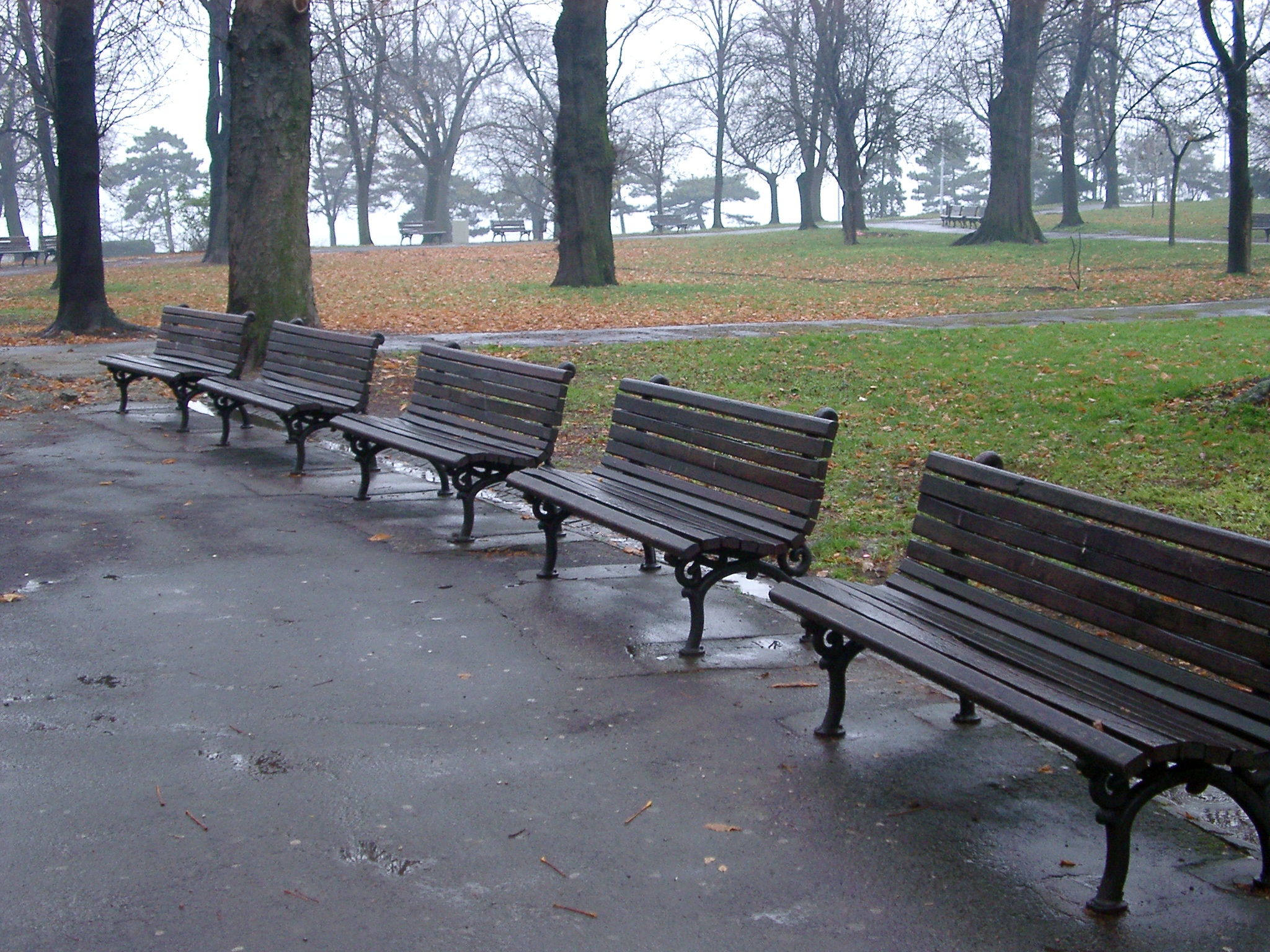 Free Stock Photo 293-park_benches_1393.JPG | freeimageslive