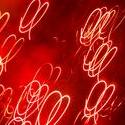 431-red_filaments_1682.JPG