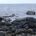 451-rocky_coast_3969.jpg