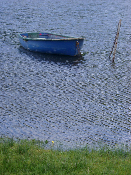 a blue rowing boat chained at the side of a lake