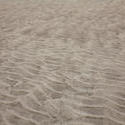 190-sand_ripples_3751.jpg