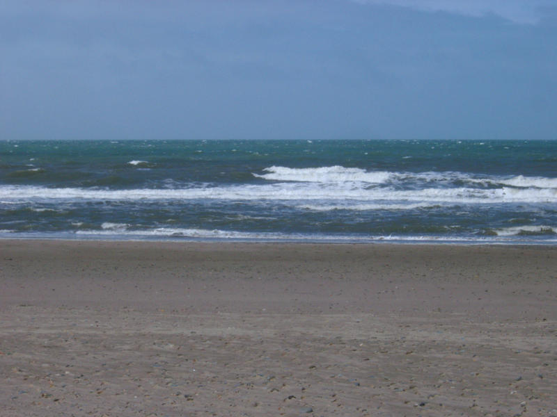waves lapping on a sandy shoreline