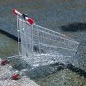 139-shopping_cart2941.JPG