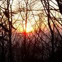 89-sunset_trees_2408.JPG