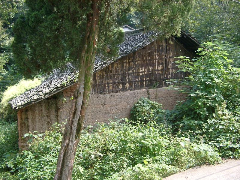 wattle and daub house, china