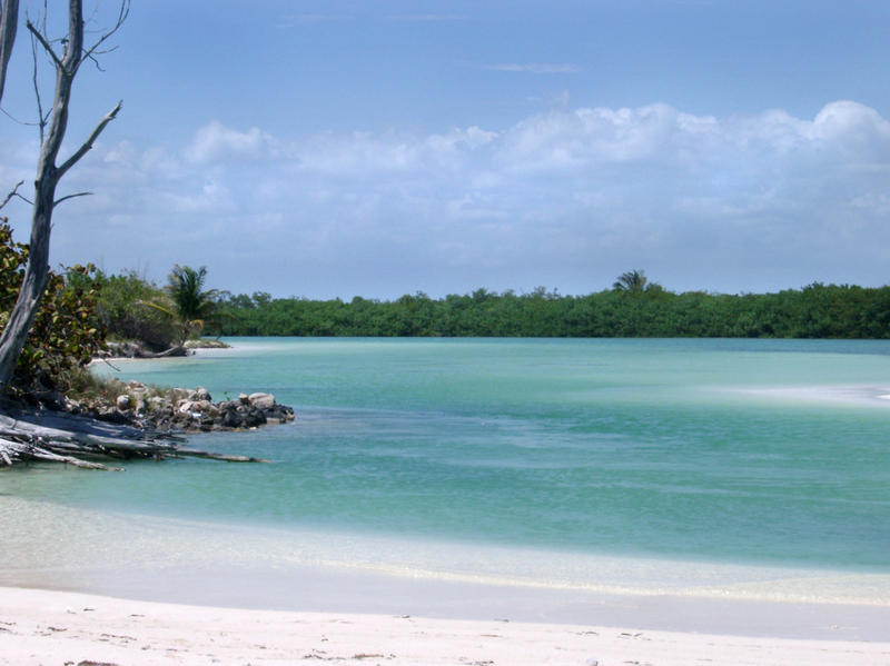 sands and blue waters of a tropical mexico beach