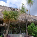 69-tropical shack