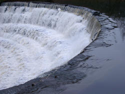 463-weir1629.jpg