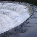 463-weir1629.jpg