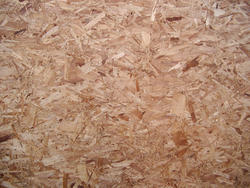 206-wood_fibre_2453.JPG