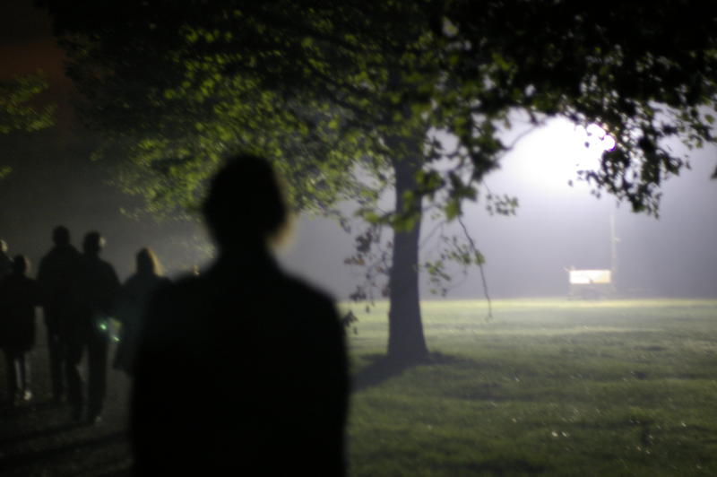 abstract and spooky nightime photography, a line of people walking through a park