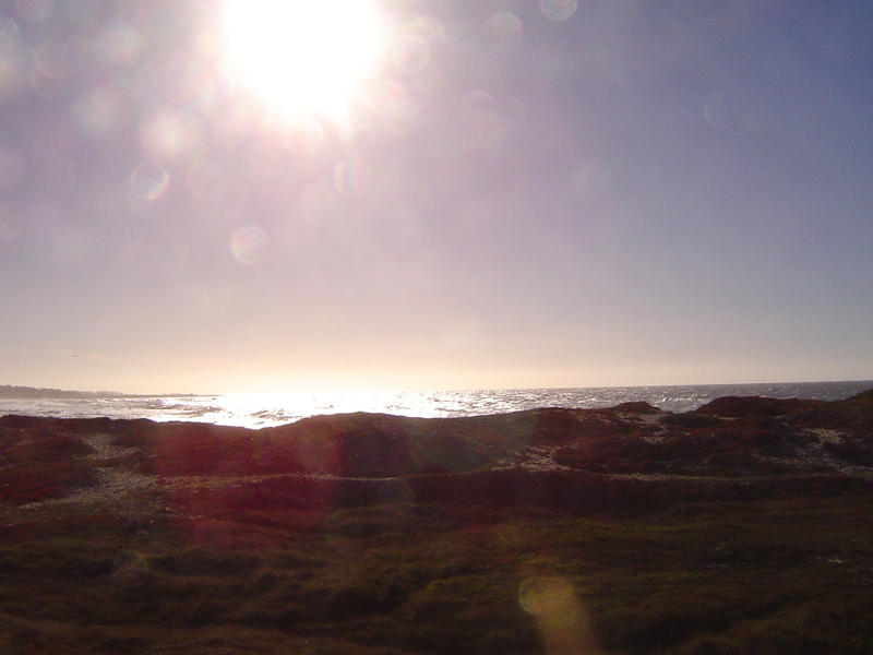 sunny scene on the california coast