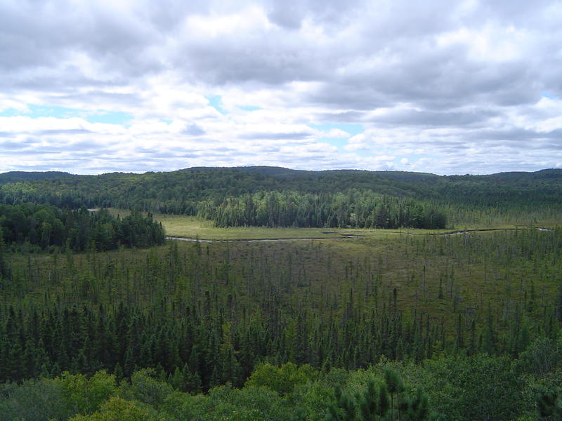 view of Algonquin Provincial Park, Ontario Canada