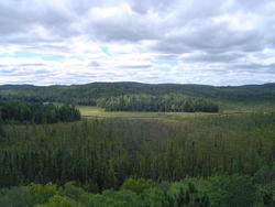 690-algonquin_provincial_park01017.jpg