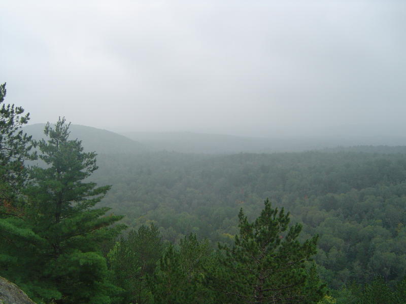 view of Algonquin Provincial Park, Ontario Canada