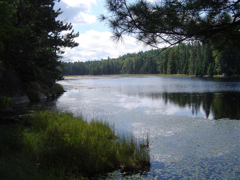 view of Algonquin Provincial Park, Ontario Canada