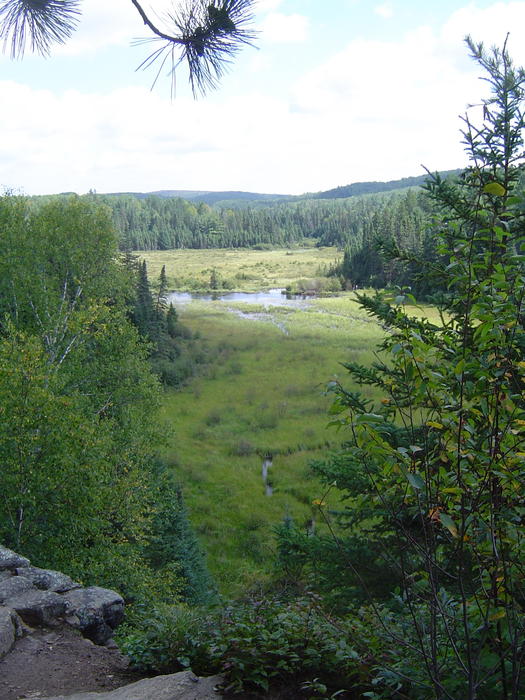 view of Algonquin Provincial Park, Ontario Canada