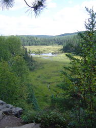 695-algonquin_provincial_park01061.jpg