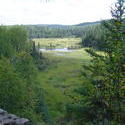 695-algonquin_provincial_park01061.jpg