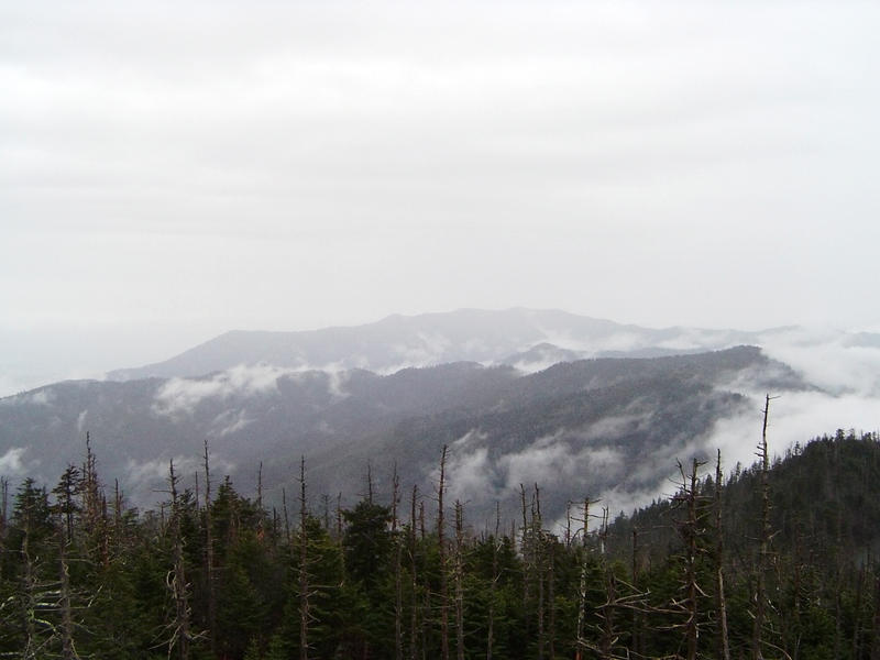 a generic wilderness alpine mountain view