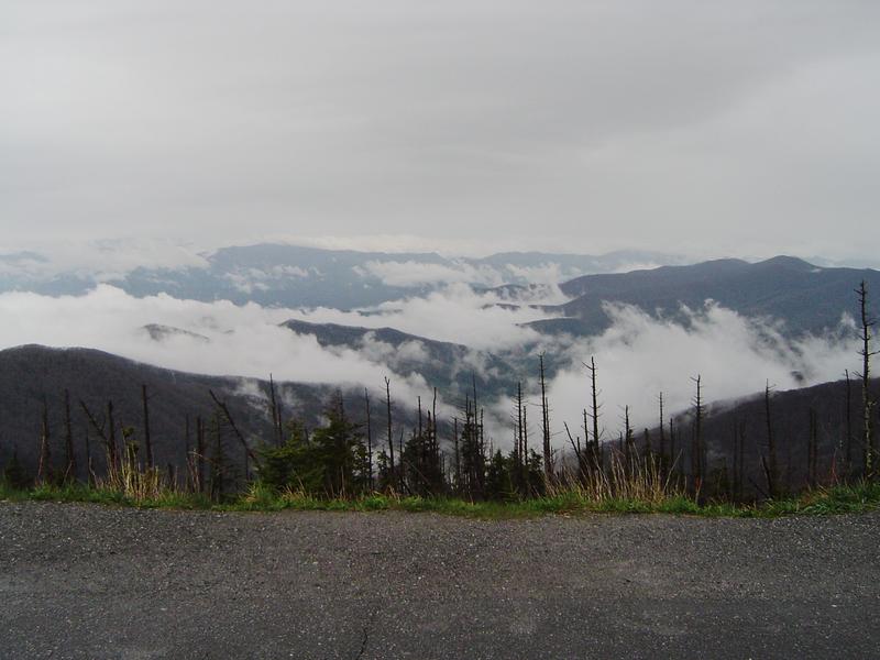 a generic wilderness alpine mountain view