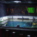 933-aquarium_02258.JPG