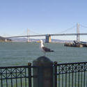 954-bay_bridge_01884.JPG