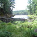 697-beaver_dam_algonquin_01047.jpg