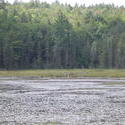 699-beaver_dam_algonquin_01050.jpg