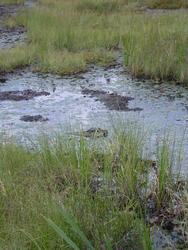 701-beaver_dam_algonquin_01056.jpg